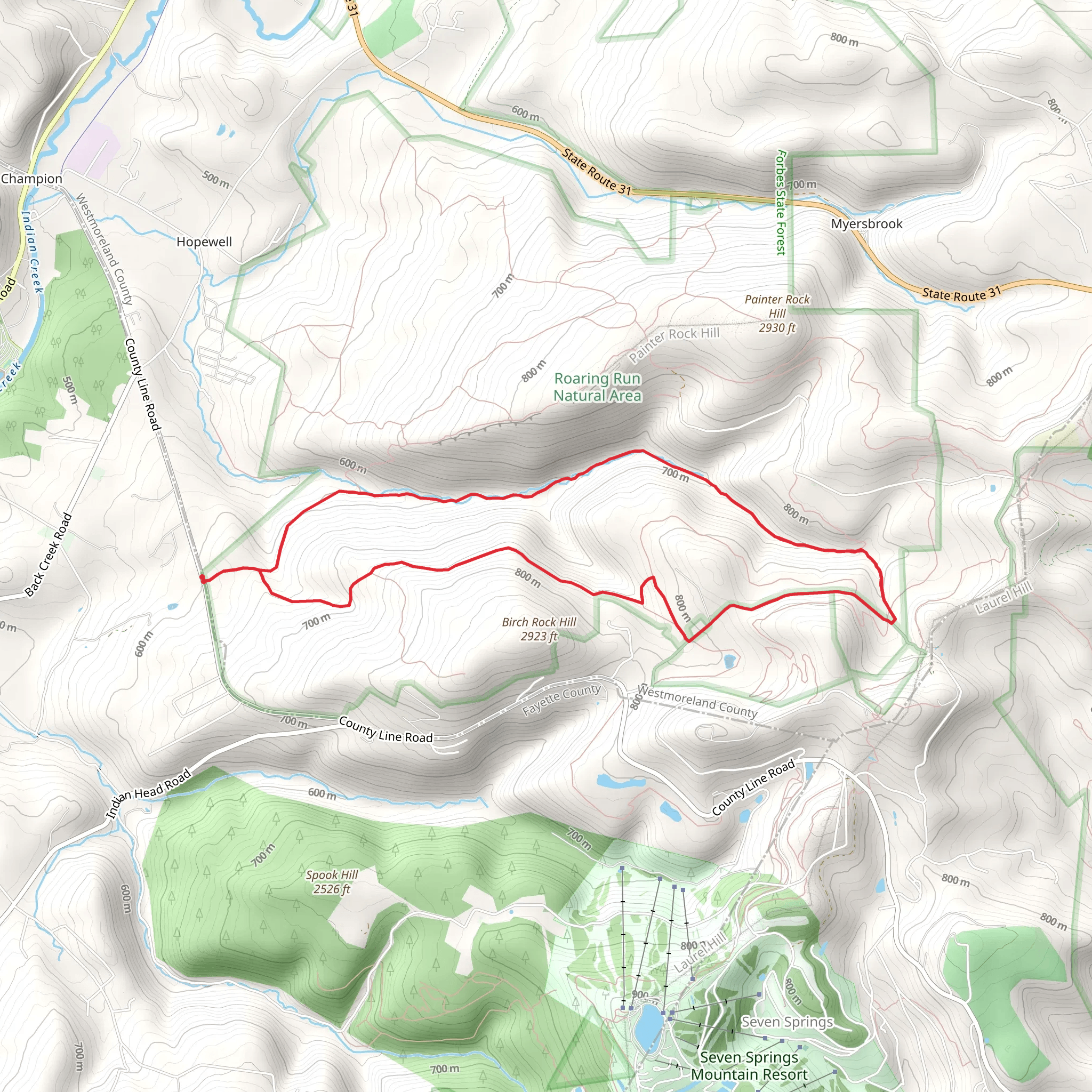 Roaring Run Loop mobile static map