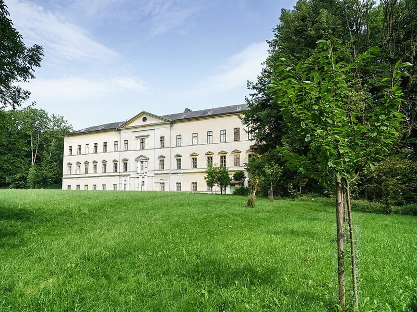 An image depicting the trail Aschach Kobl Loop Trail and its surrounding area.