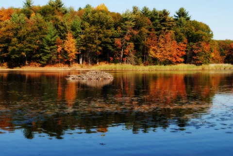 An image depicting the trail Baker Trail and its surrounding area.