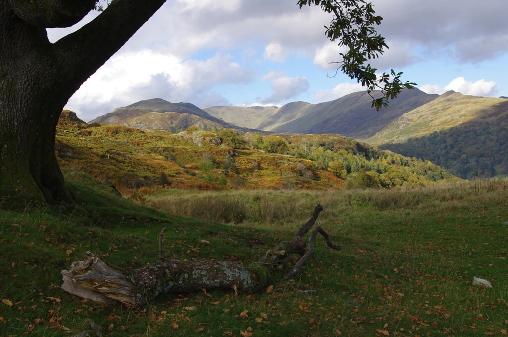 An image depicting the trail Loughrigg Fell - Rydal Cave Loop and its surrounding area.