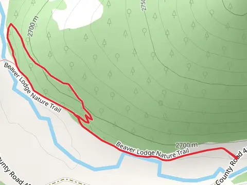 Beaver Lodge Nature Loop Trail