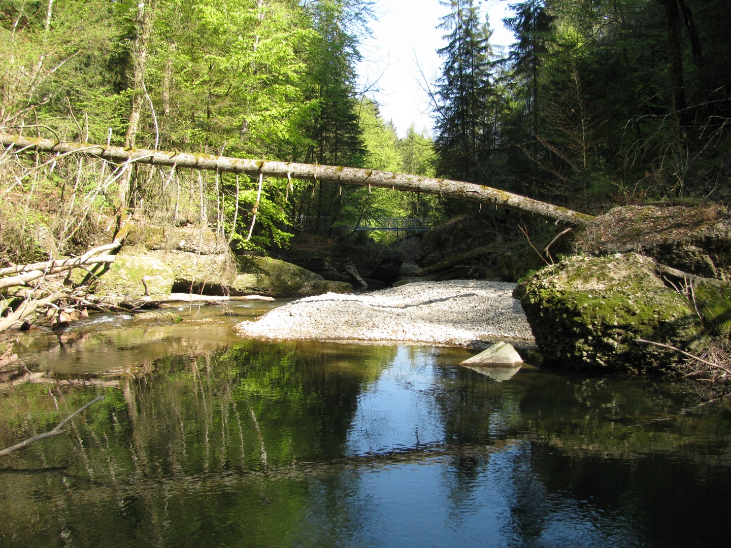 An image depicting the trail Eistobel, Ruine Hohenegg, Iberg and Riedholzer Kugel Loop via Eistobel Wanderweg and its surrounding area.