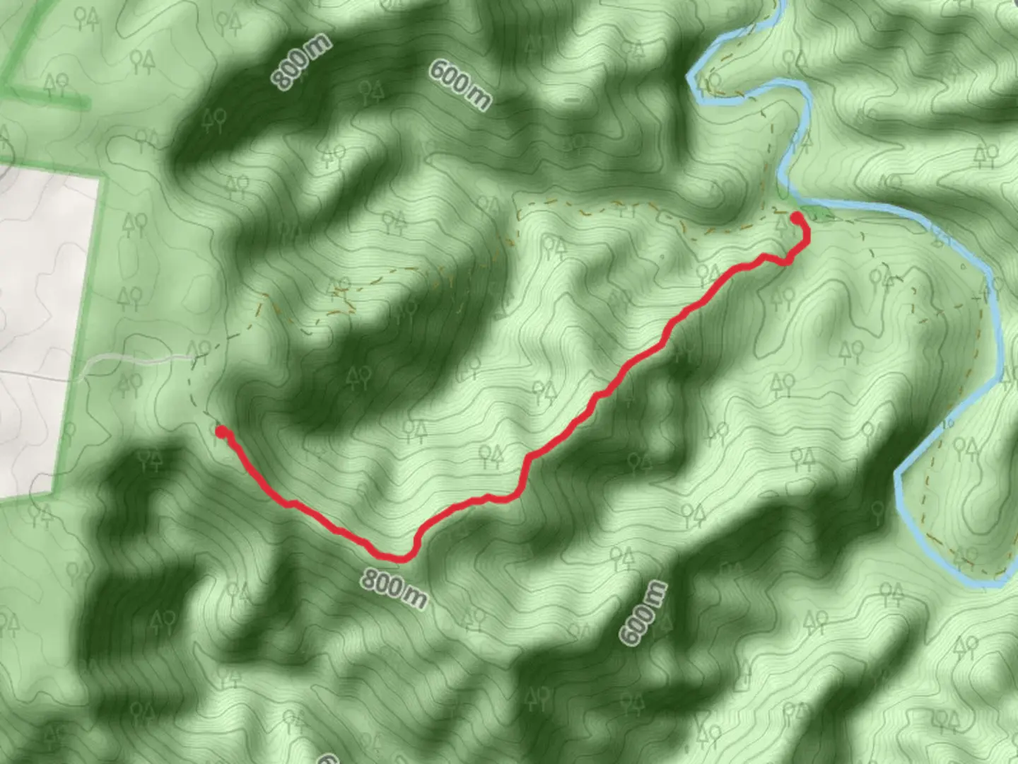An image depicting the trail Budds Mare to Riverside Track and its surrounding area.
