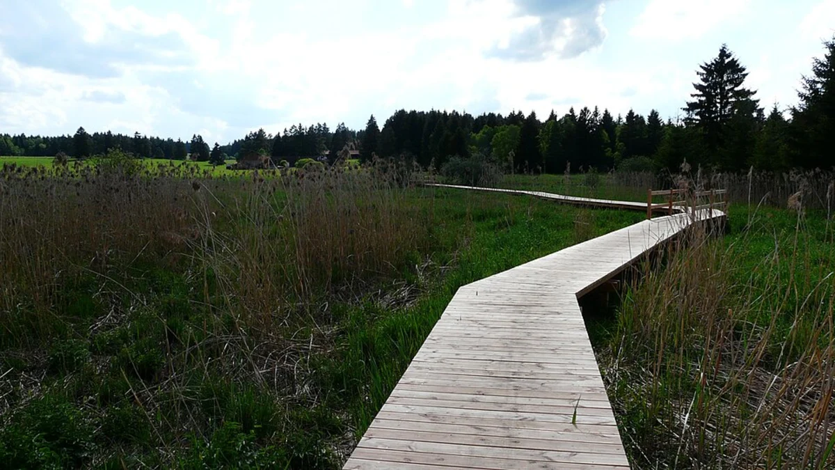 Elbsee via Elbsee Rundweg and Duesseldorfer Weg