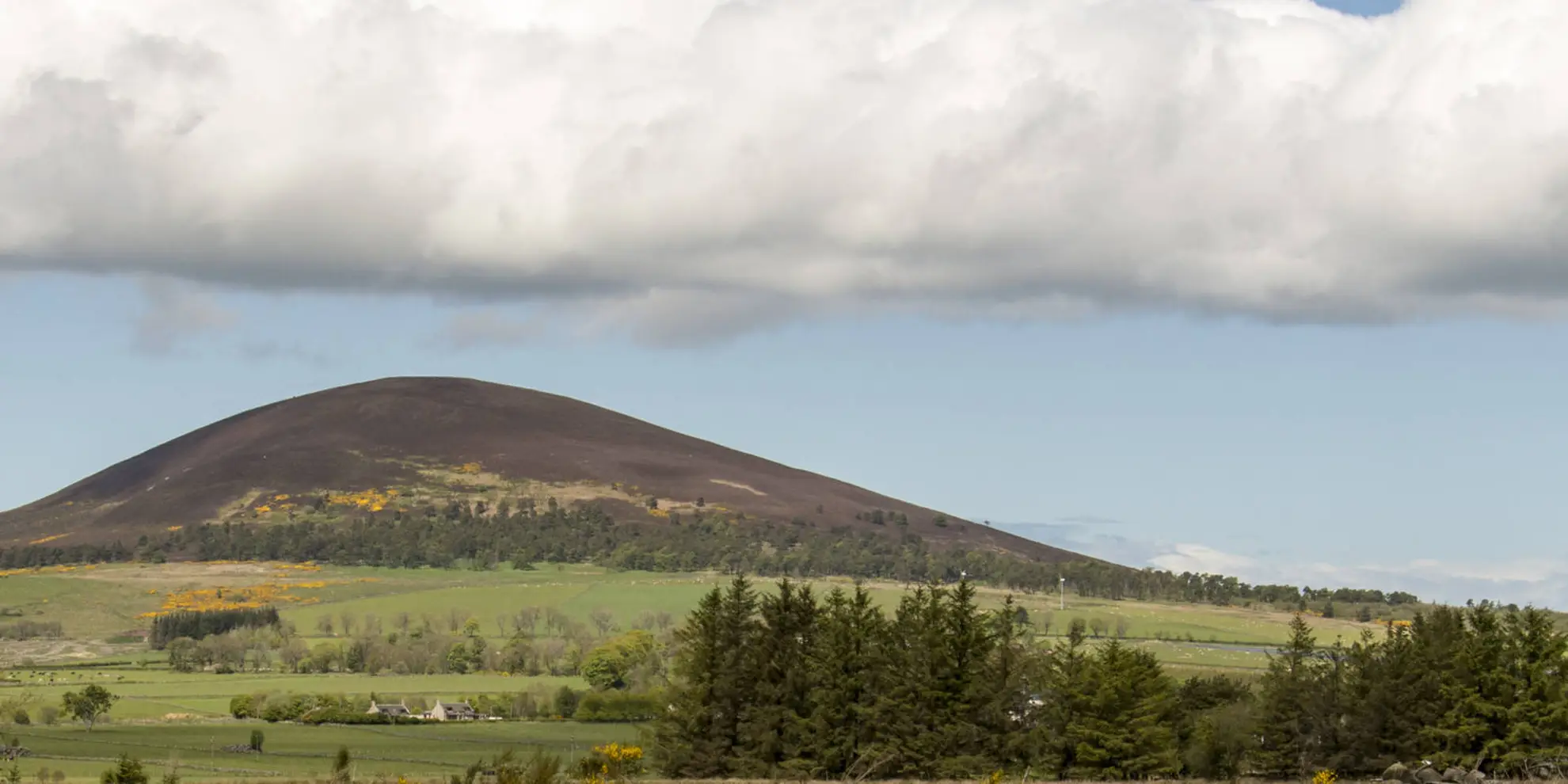 An image depicting the trail Gordon Way and its surrounding area.