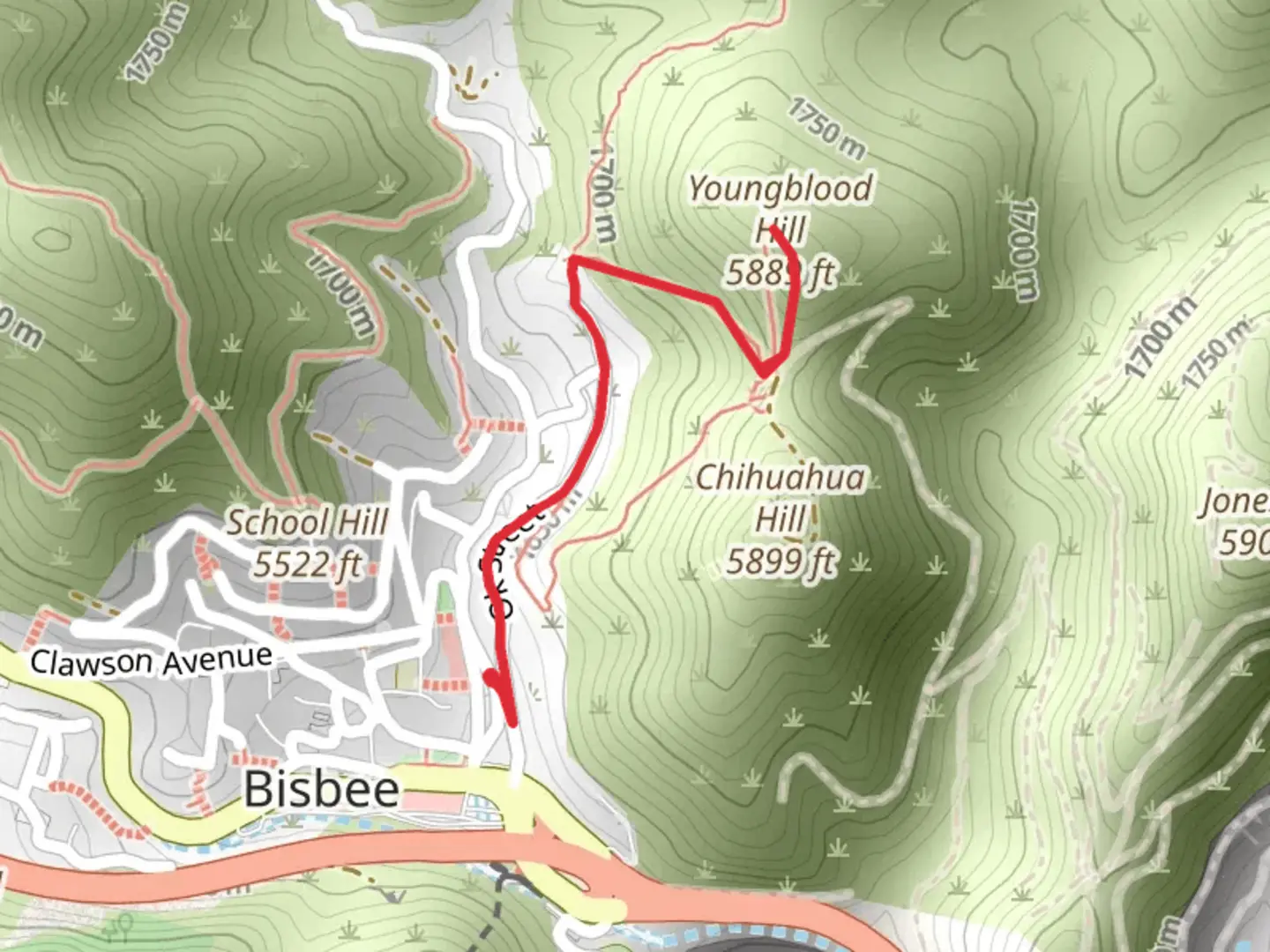 An image depicting the trail Youngblood Hill and its surrounding area.