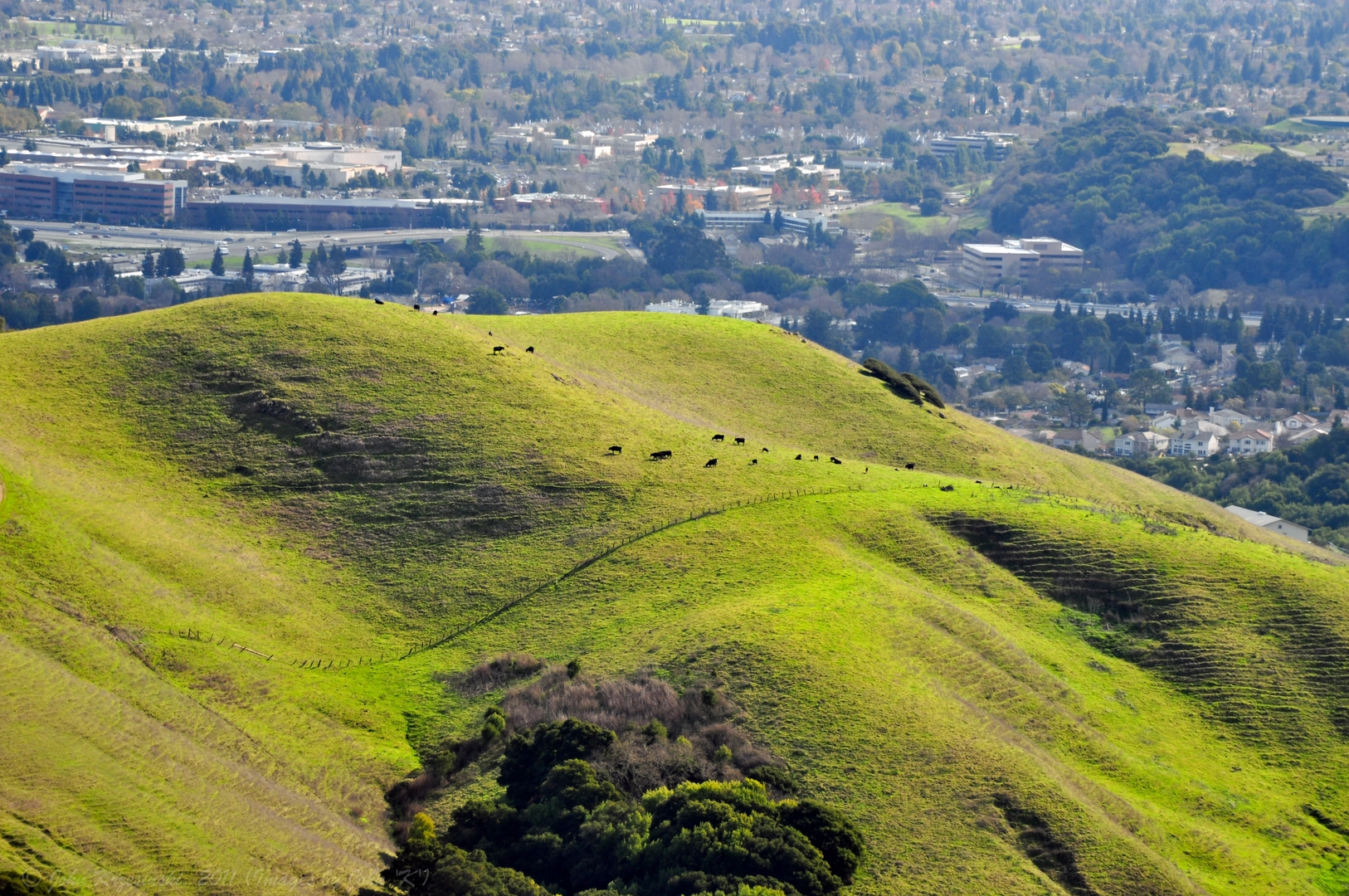 An image depicting the trail Dublin Creek Loop via Martin Canyon Creek Trail and its surrounding area.