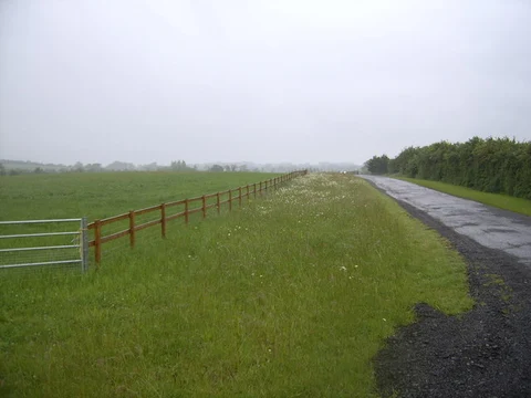 Nightingale Woods and Bellingham Wood