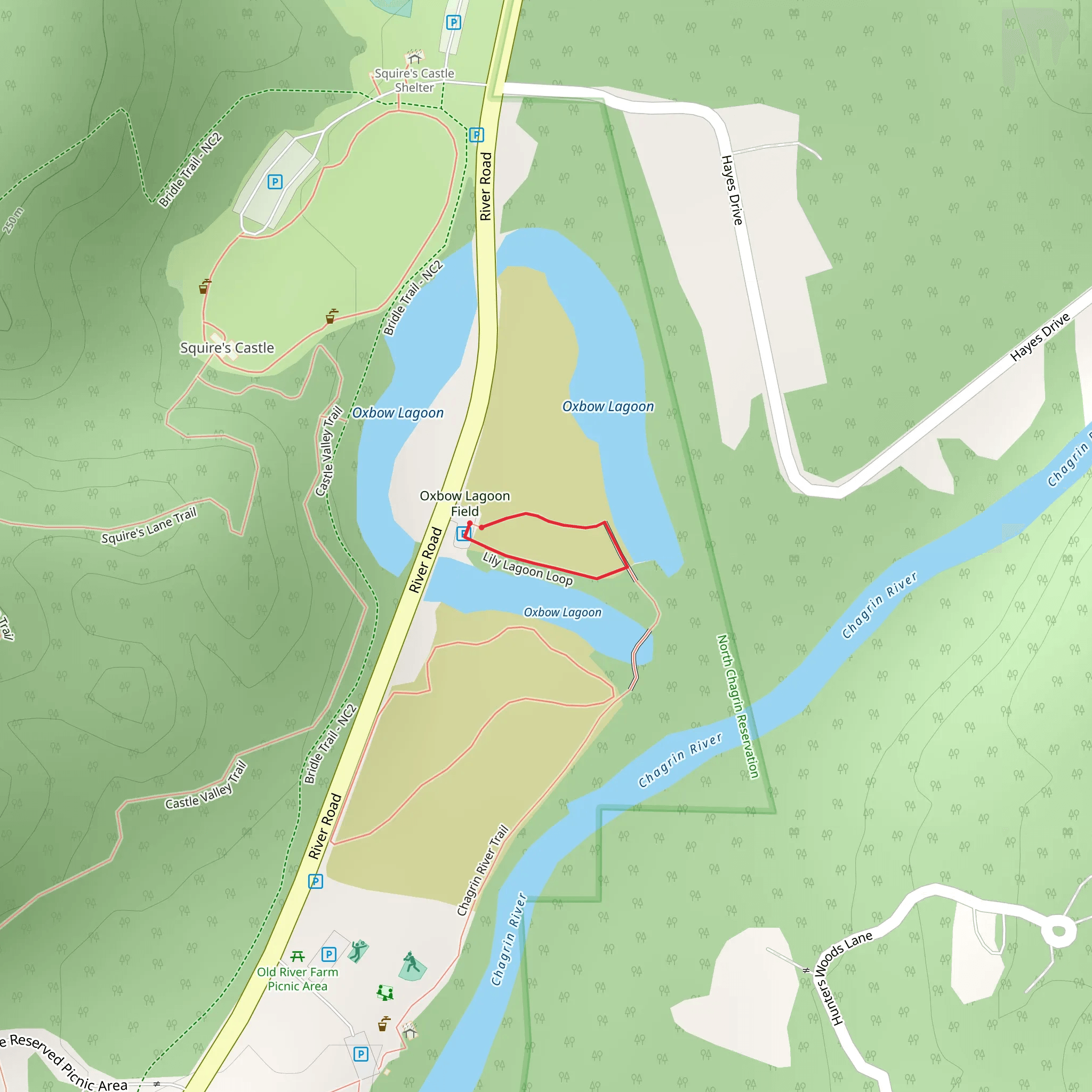 Lily Lagoon Loop mobile static map