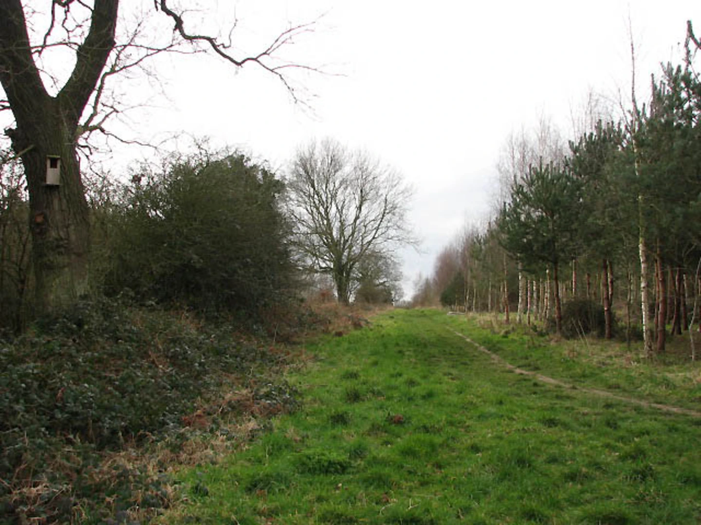 An image depicting the trail North Walsham and Dilham Canal and its surrounding area.
