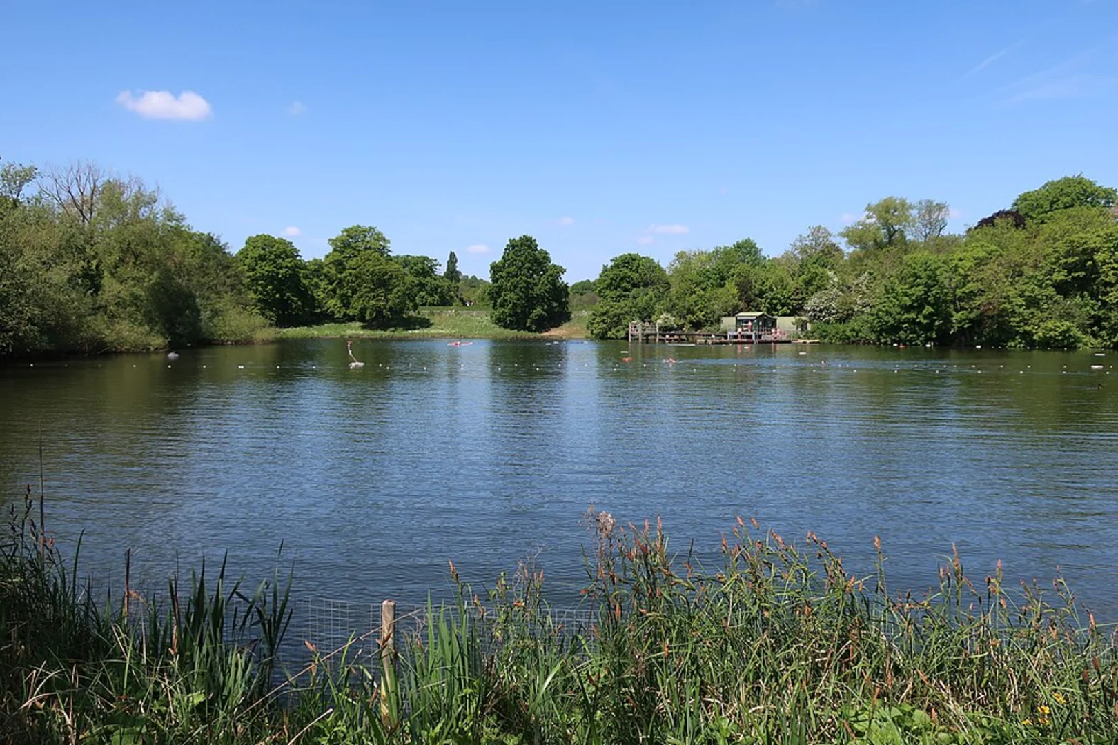 An image depicting the trail Hampstead Heath Loop and its surrounding area.