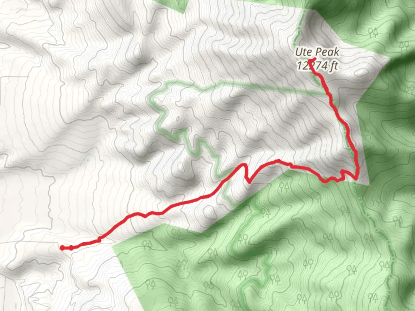 An image depicting the trail Ute Peak Trail Out and Back and its surrounding area.