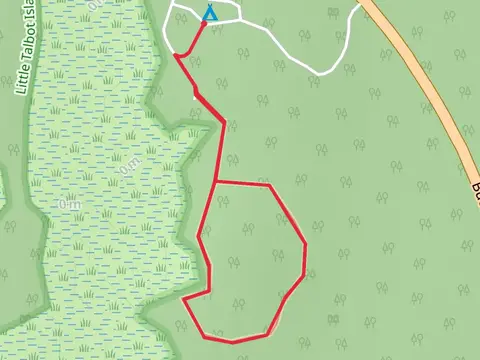 Little Talbot Island State Park Trail