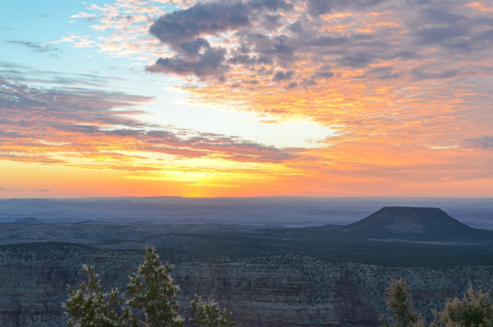 An image depicting the trail Blodgett Basin Trail and its surrounding area.
