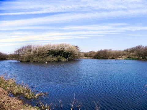 An image depicting the trail Ainsdale Loop and its surrounding area.