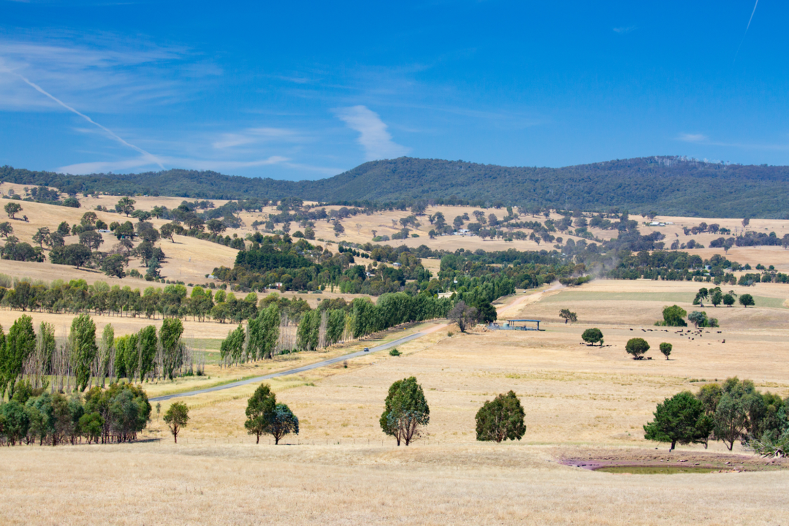 An image depicting the trail Eagle Peaks Circuit Trail and its surrounding area.