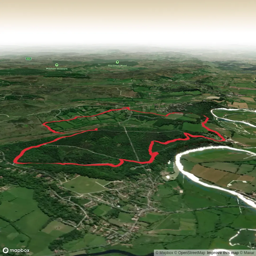 An image depicting the trail Godshill Loop inc Frankenbury Fort & Avon View! and its surrounding area.