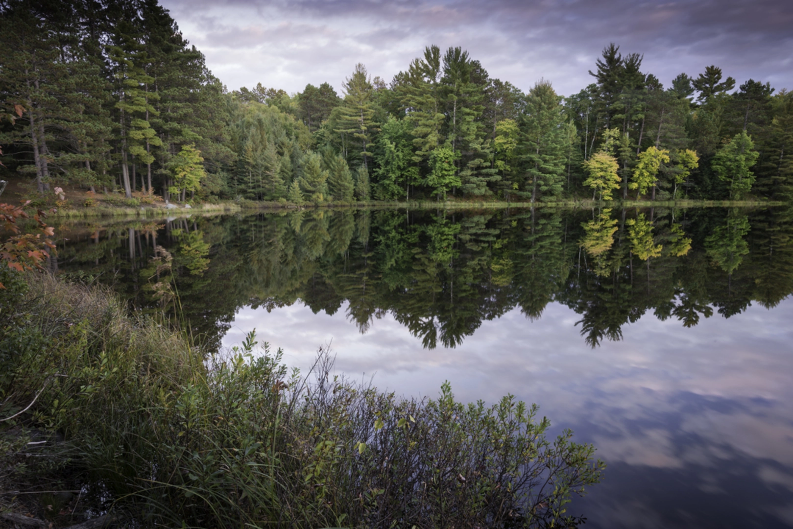 An image depicting the trail Fallison Lake Loop and its surrounding area.