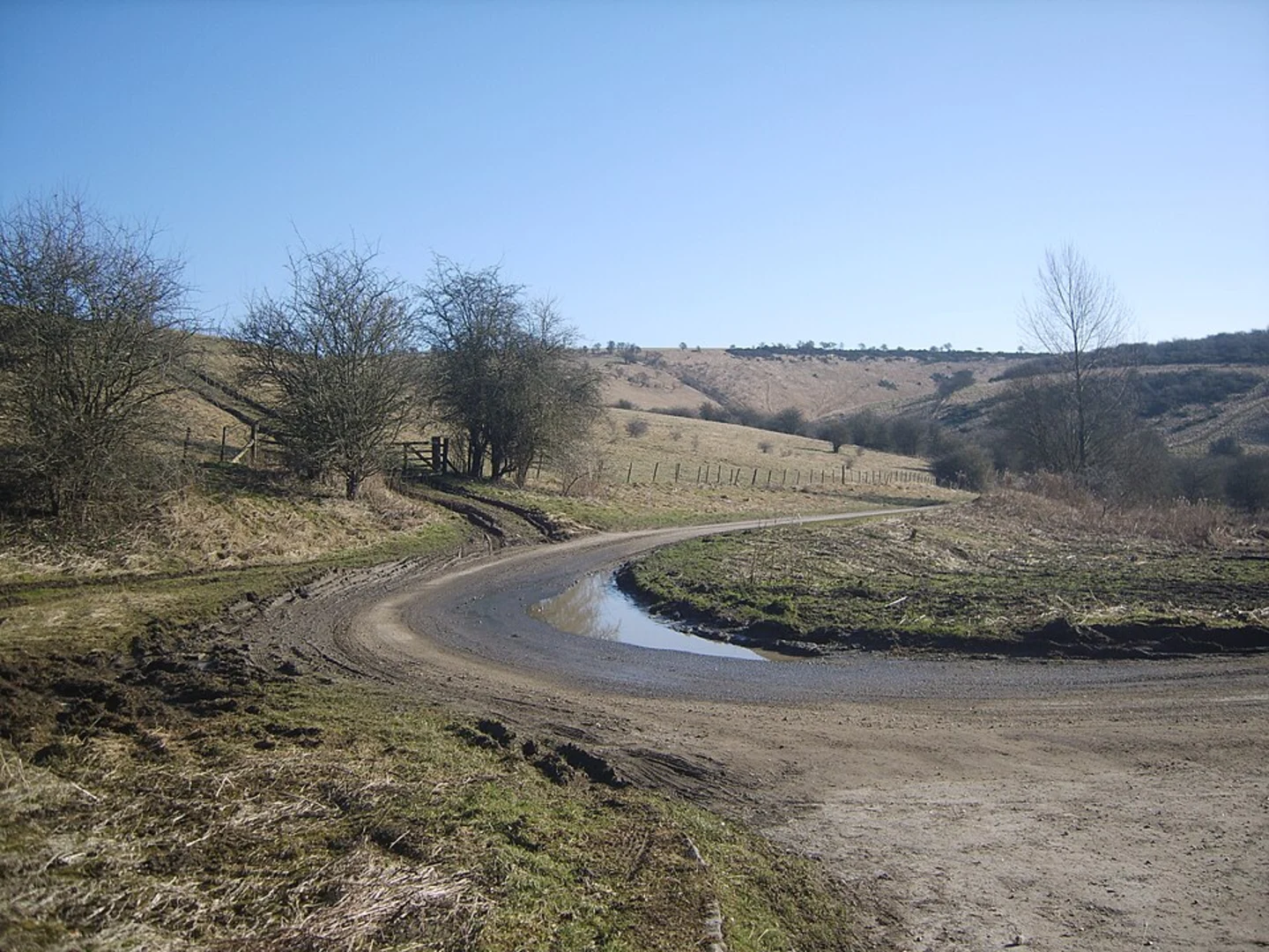 An image depicting the trail Millington Woods Loop and its surrounding area.