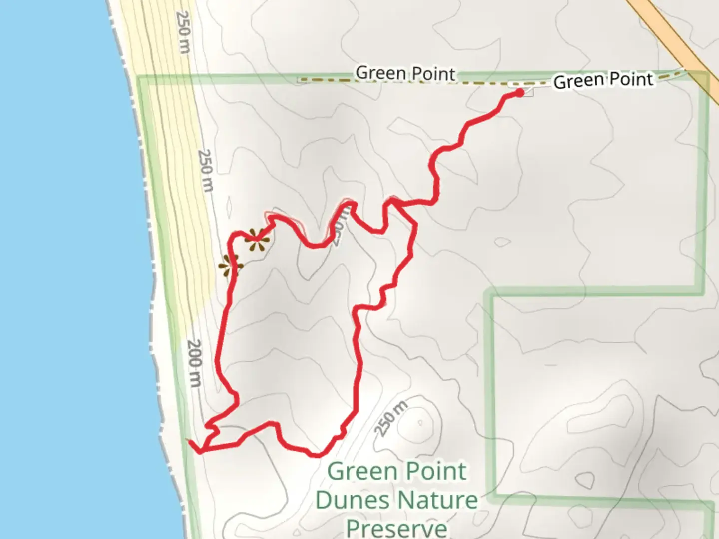 An image depicting the trail Green Point Dunes Loop Trail and its surrounding area.