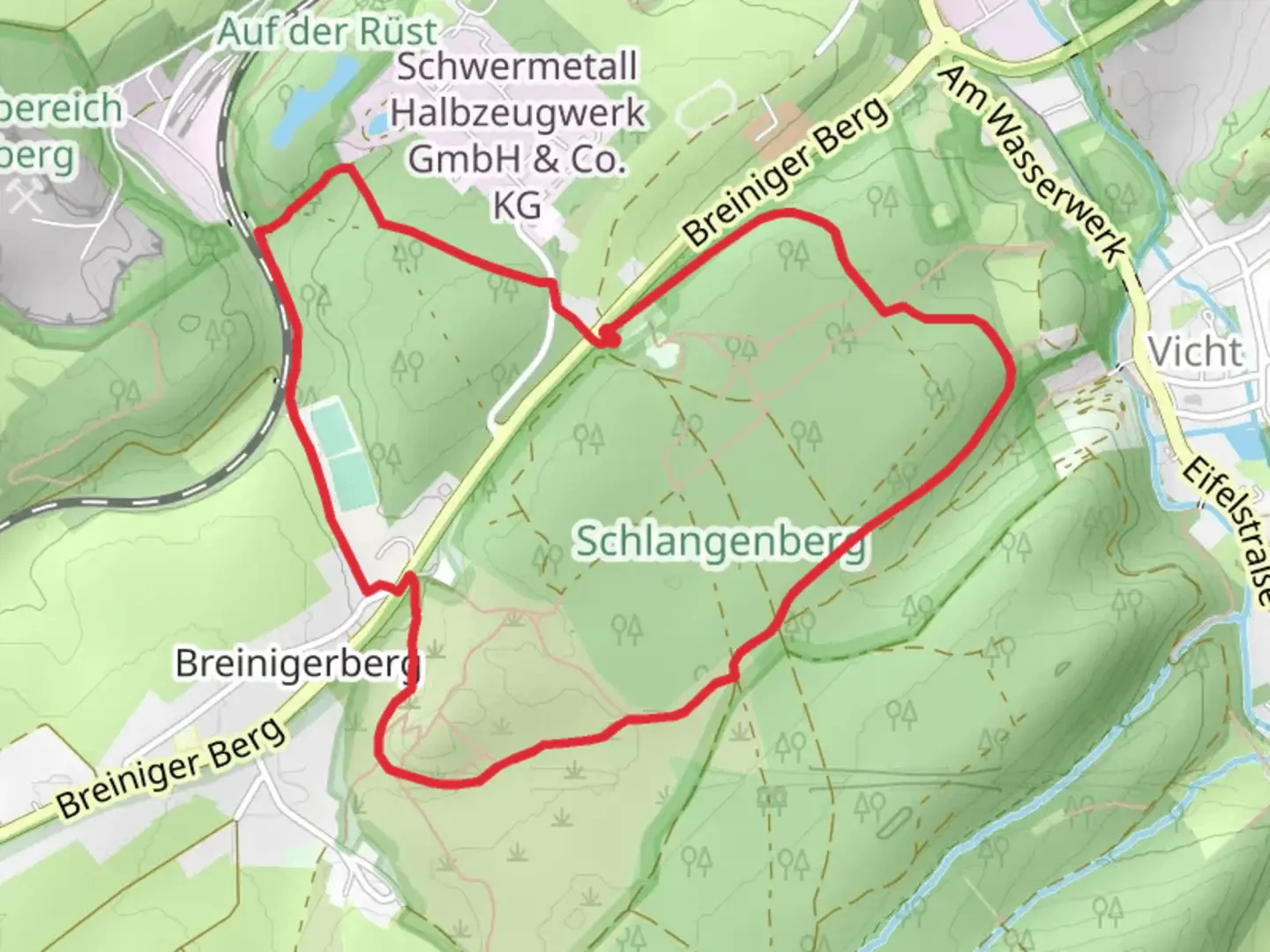 An image depicting the trail Schlangenberg Loop via Rüst and its surrounding area.