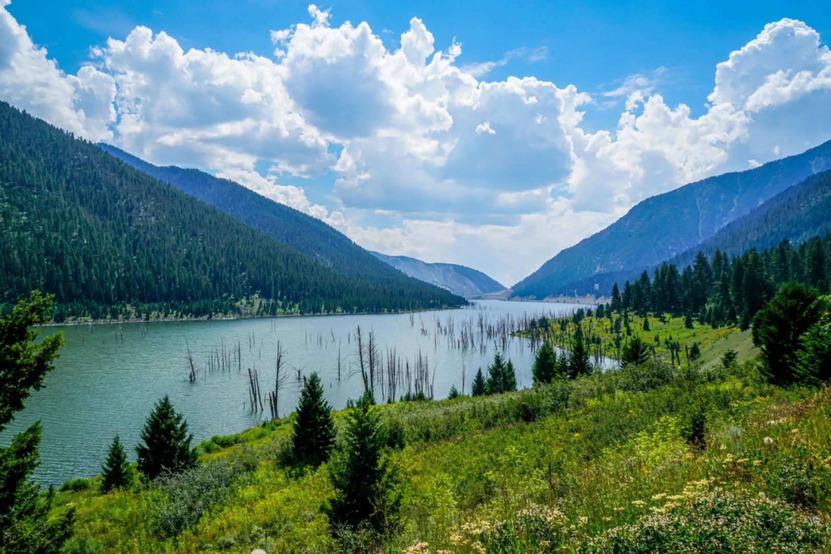 An image depicting the trail Sheep Lake Trail and its surrounding area.