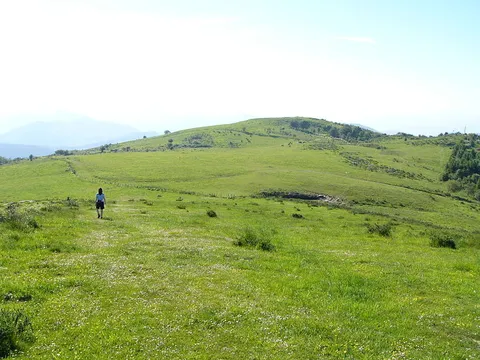 An image depicting the trail Wildlife Trail - Lukun and its surrounding area.