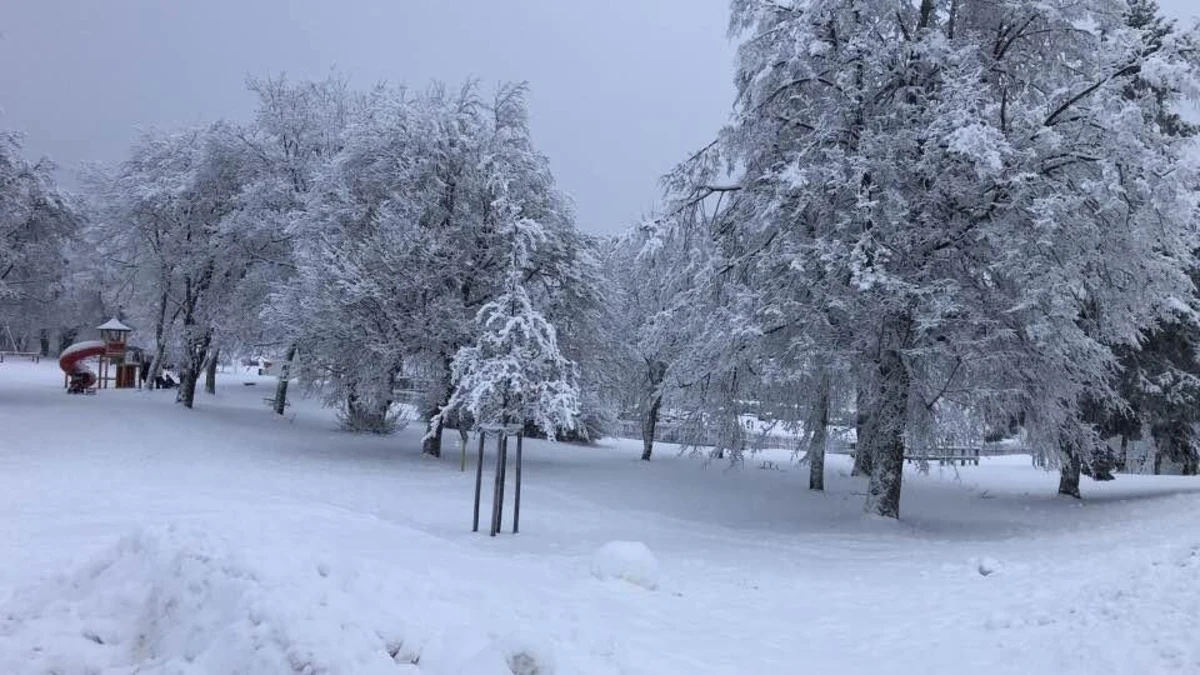 Ausgebrannter Stein, Oberer Sieglitzteich Loop - Oberhof