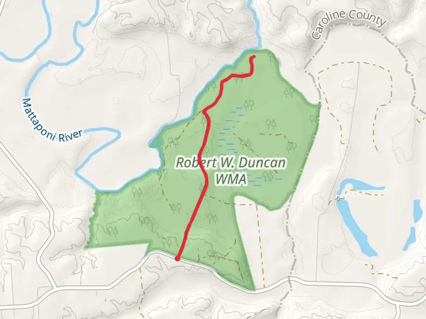 An image depicting the trail Mattaponi River from Frog Level Road and its surrounding area.