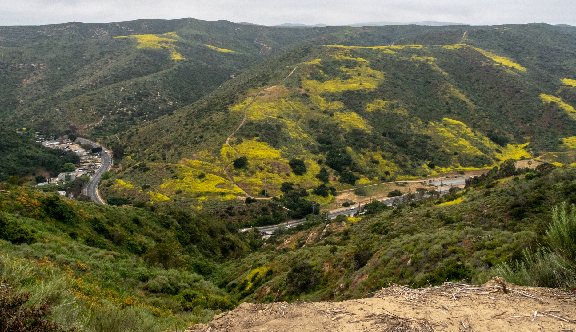 An image depicting the trail Mathis Canyon and Aliso Creek Trail and its surrounding area.