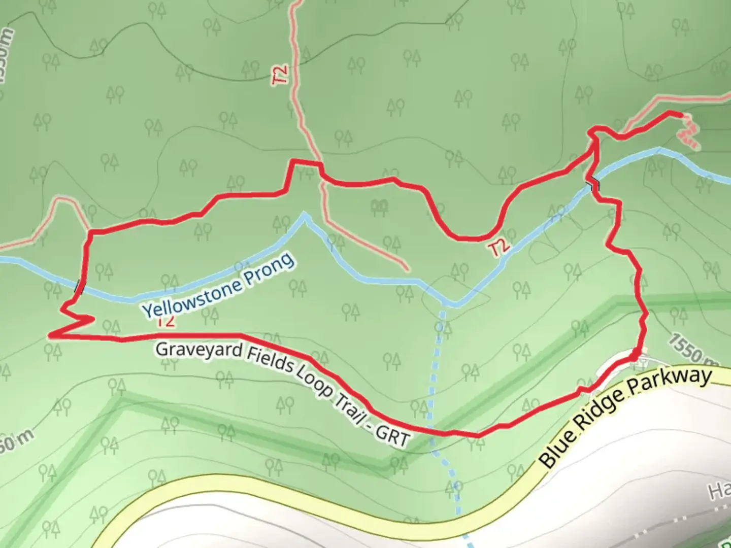 An image depicting the trail Graveyard Fields Loop Trail and its surrounding area.