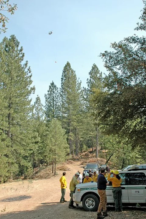 An image depicting the trail Hirz Bay Campground Trail and its surrounding area.