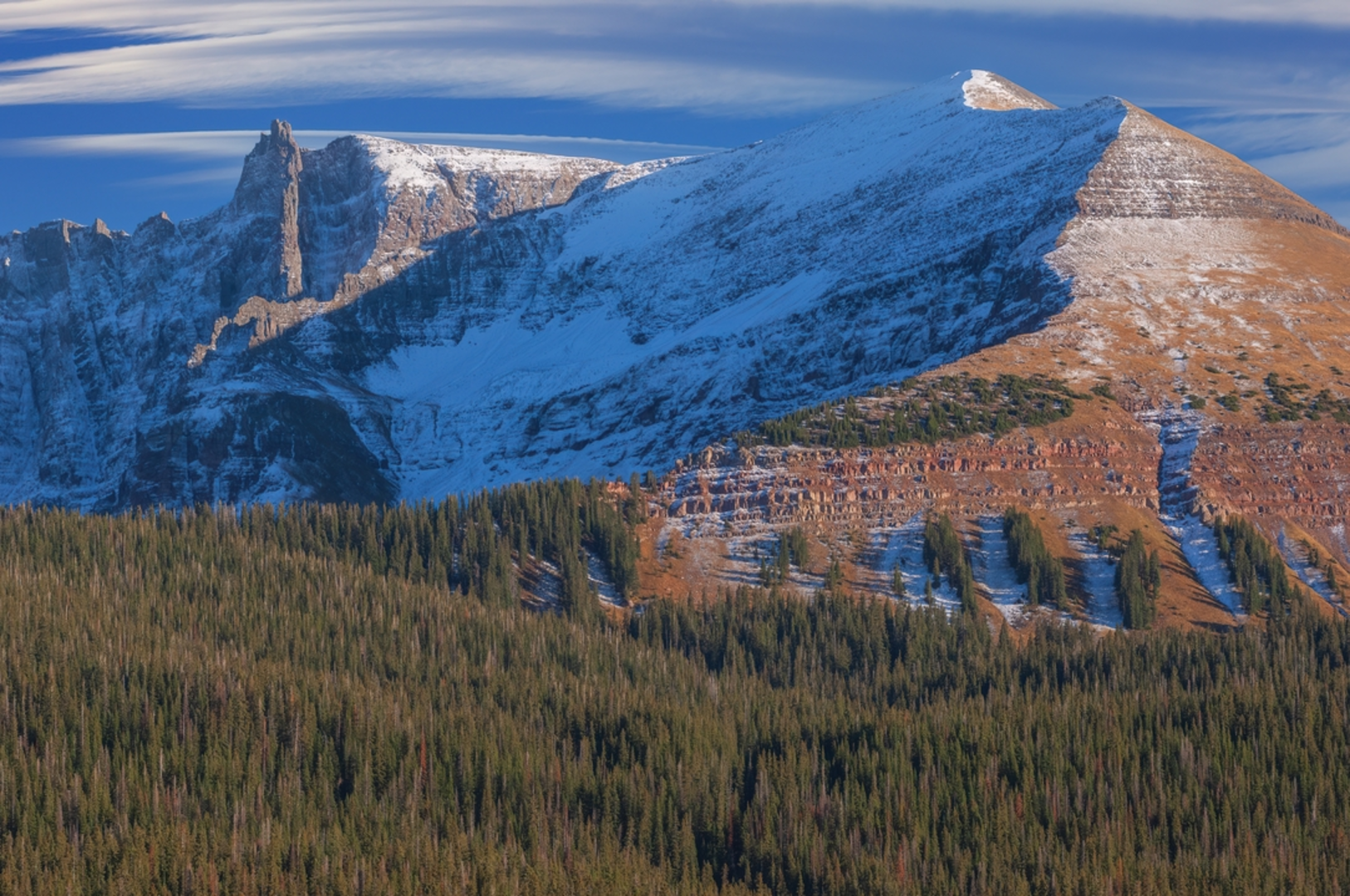 An image depicting the trail Lizard Head and Black Face Trail and its surrounding area.
