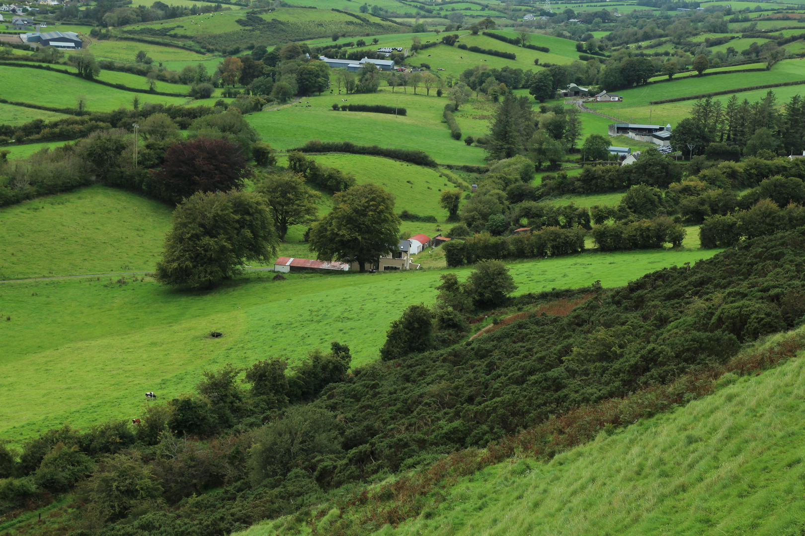An image depicting the trail Keash Hill Trail and its surrounding area.