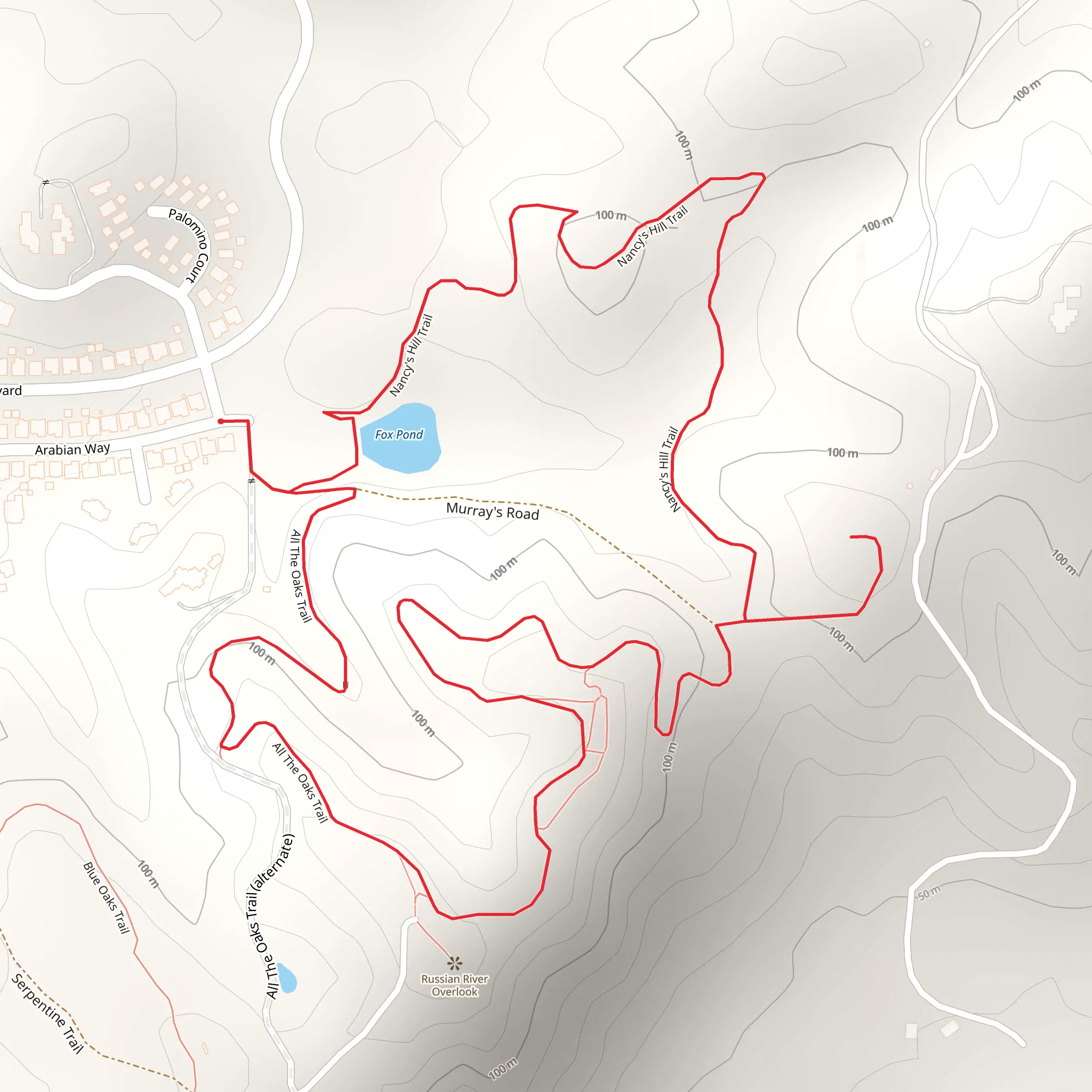 Nancy's Hill and All The Oaks Loop Trail mobile static map