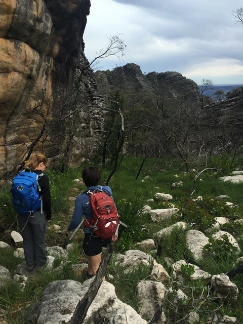 Mount Thackeray Trail