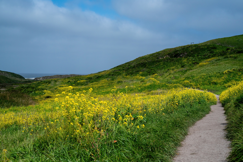 An image depicting the trail Kehoe Beach Trail and its surrounding area.