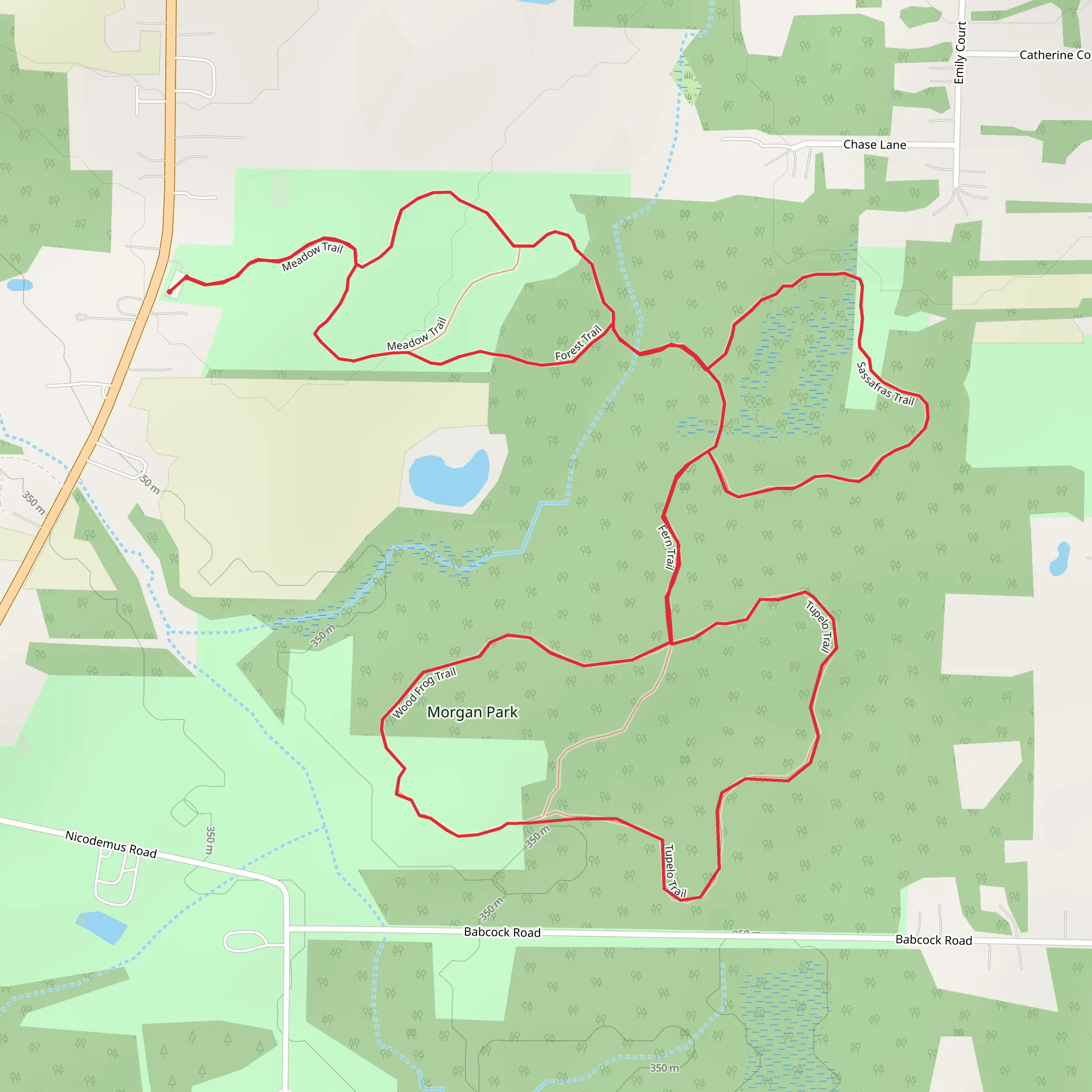 Meadow Trail, Fern Trail and Sassafras Trail mobile static map