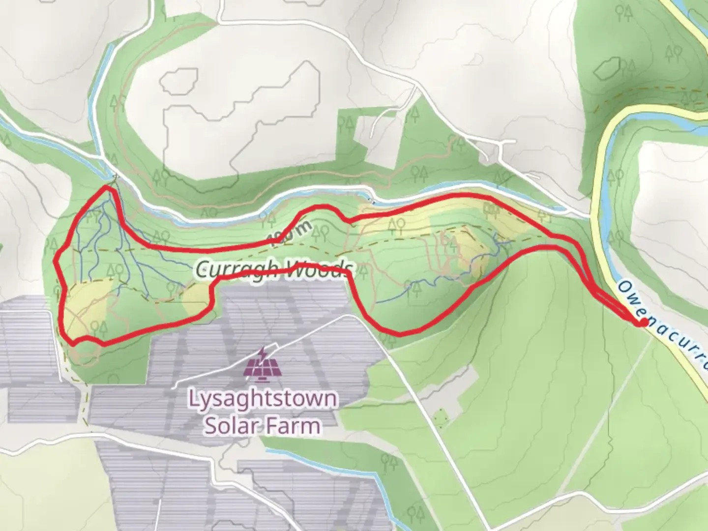 An image depicting the trail Curragh Woods Loop - Midleton and its surrounding area.