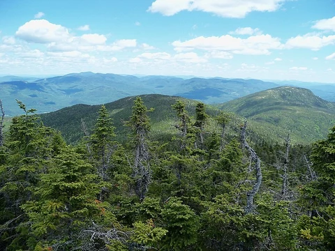 An image depicting the trail Moriah Brook via Wild River Trail and its surrounding area.