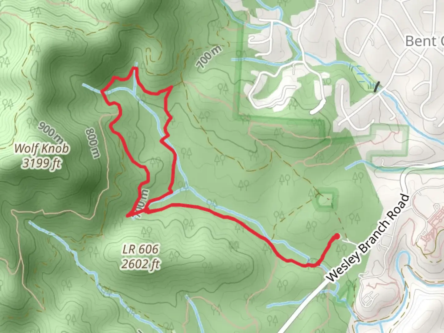 An image depicting the trail Wolf Branch and Ledford Loop Trail and its surrounding area.