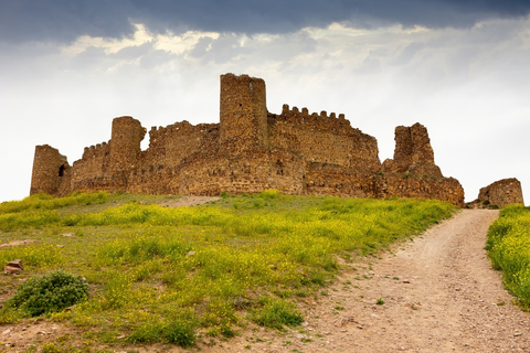 Virgin of the Olive Trail PR TO 22