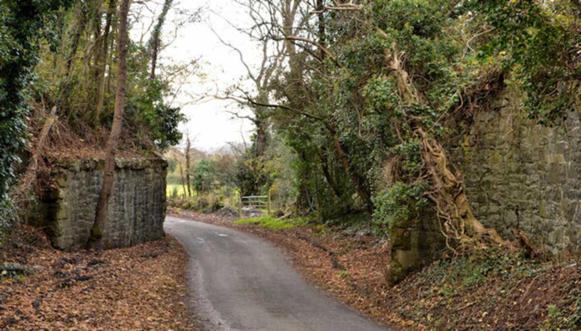 An image depicting the trail Garrettstown - Kilmore Loop and its surrounding area.