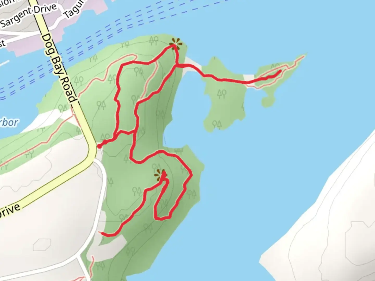 An image depicting the trail Dog Bay Loop and its surrounding area.