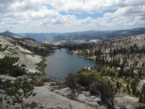 An image depicting the trail Convict Creek Trail to Mildred Lake and its surrounding area.