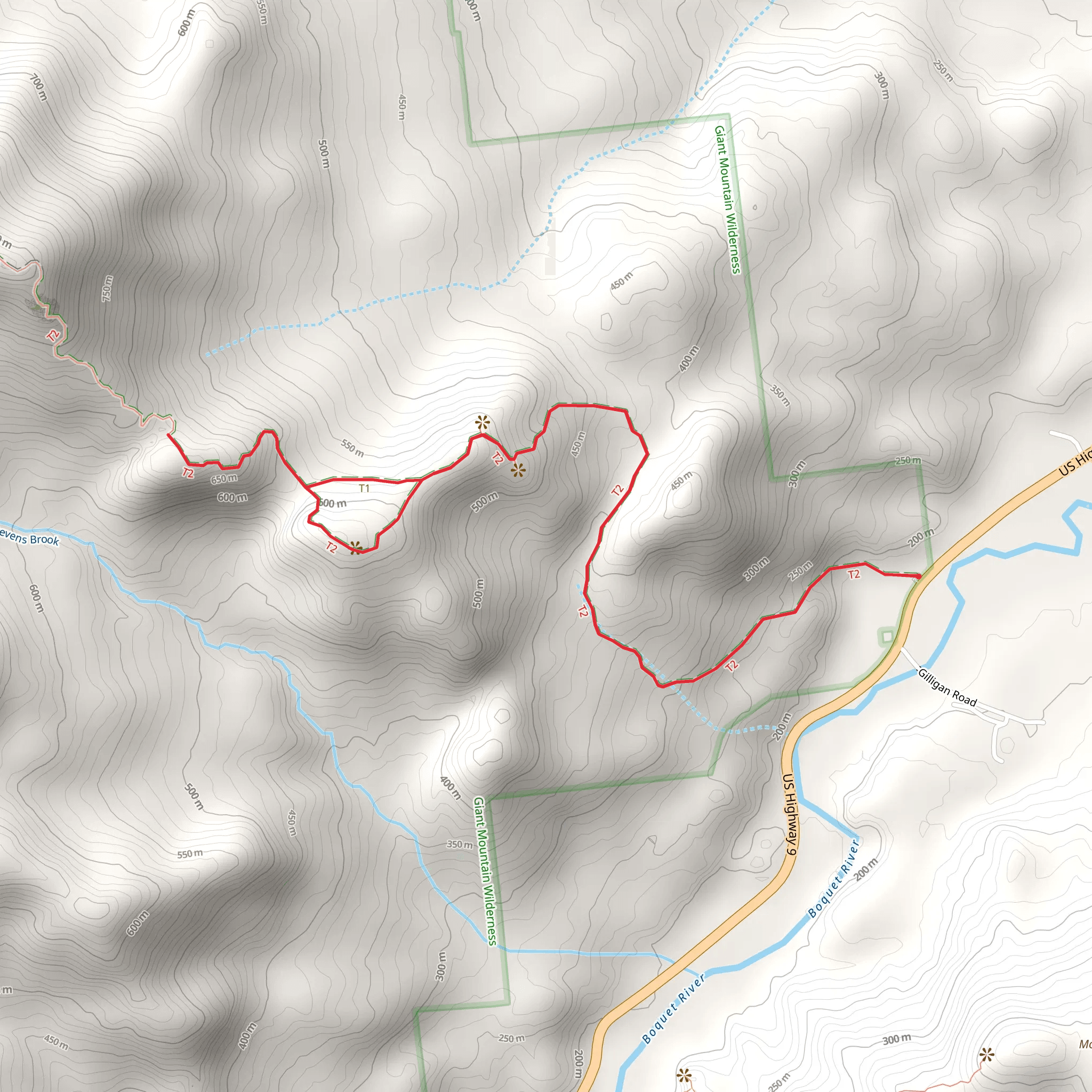 Blueberry Cobbles Bypass Trail mobile static map
