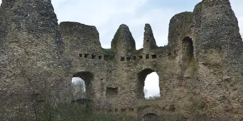 An image depicting the trail Basingstoke Canal Towpath Trail and its surrounding area.