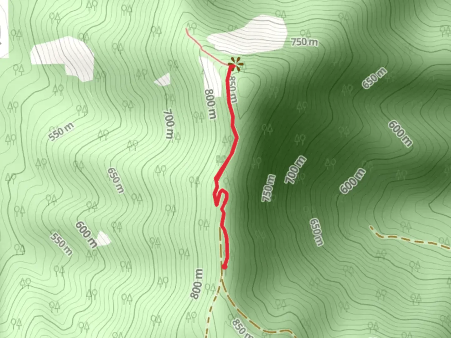 An image depicting the trail London Peak Accessible Trail and its surrounding area.