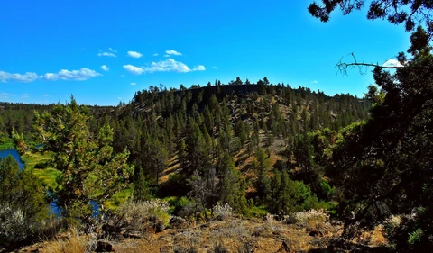 An image depicting the trail Bessie Butte Trail and its surrounding area.