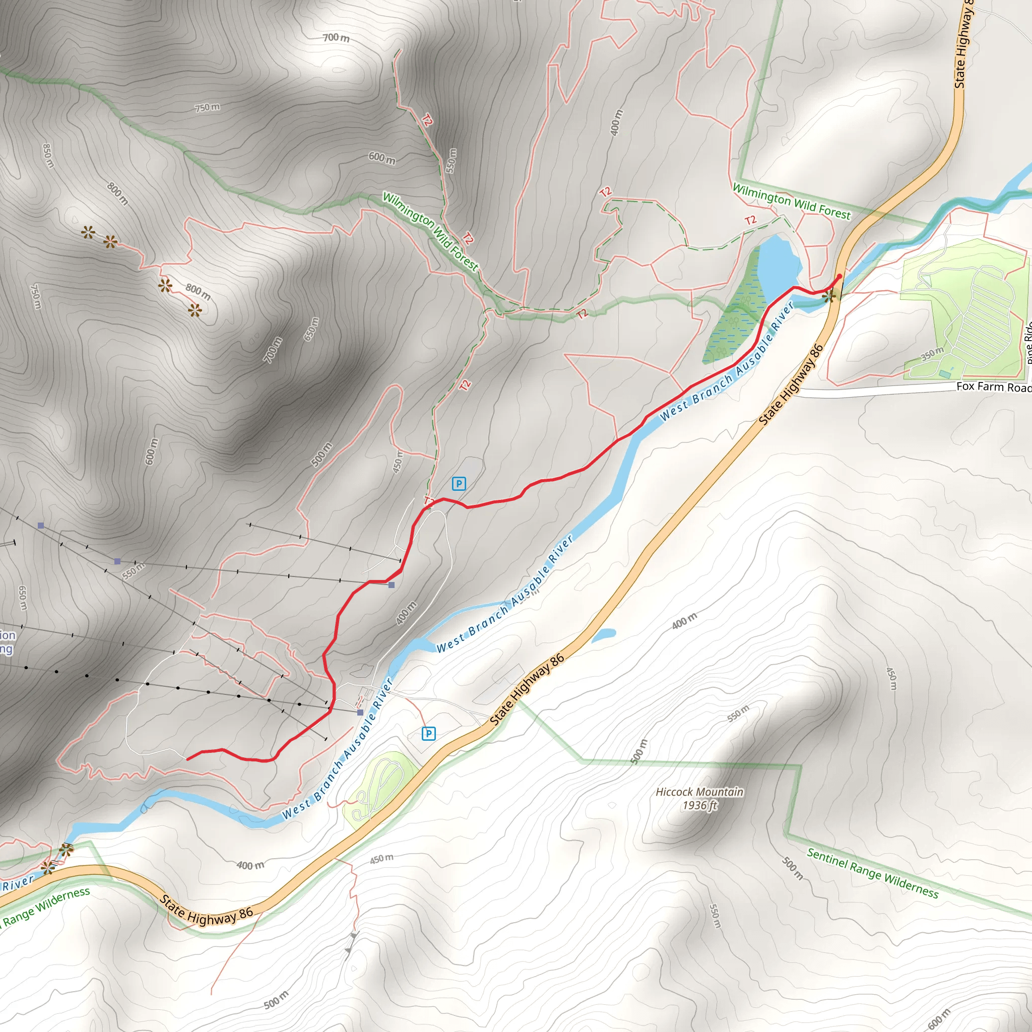 Walk along West Branch Ausable River mobile static map